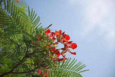 年卡仅需149！3DM网游加速器周年庆开启